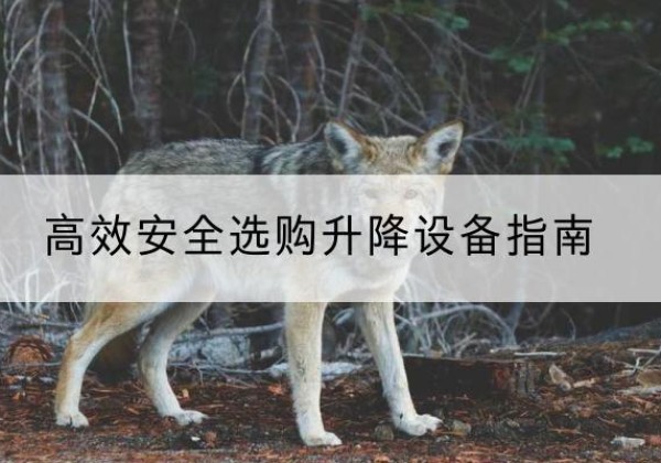 南票升降货梯厂家推荐-*安全选购升降设备指南