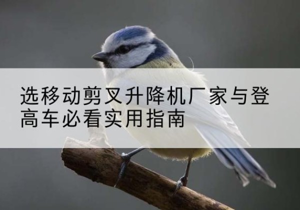 南票电动升降机厂家-选移动剪叉升降机厂家与登高车必看实用指南